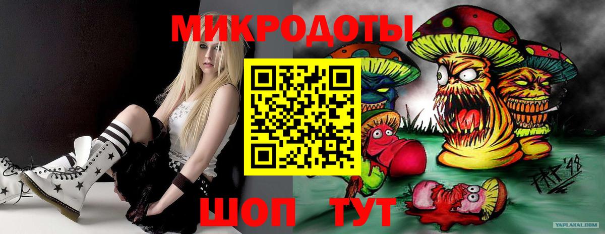 хочу   Вход с VPN  Кириши  Псилоцибиновые грибы Psilocybine cubensis 